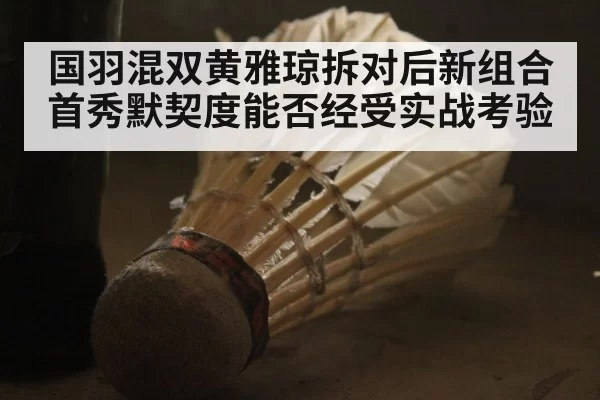 国羽混双黄雅琼拆对后新组合首秀默契度能否经受实战考验