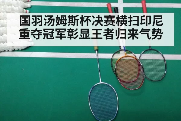 国羽汤姆斯杯决赛横扫印尼重夺冠军彰显王者归来气势
